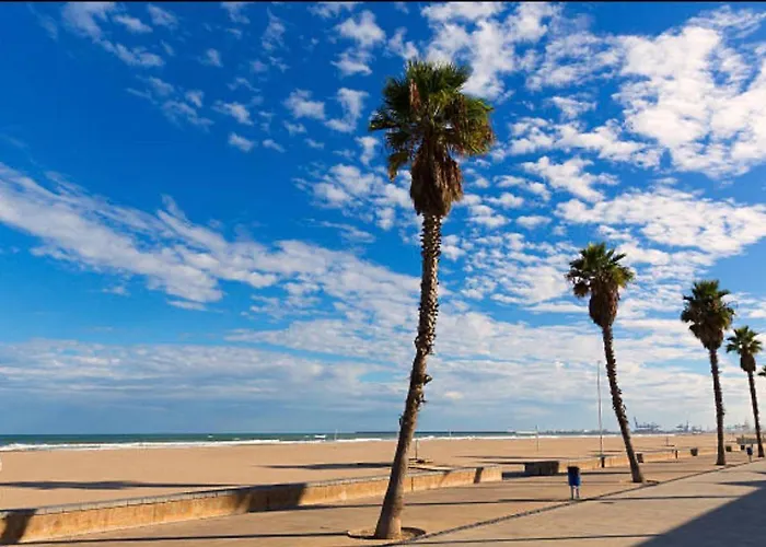 Marin Patacona Valencia